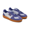 GLOBAL BRANDS MULTISPORTS, S.A.